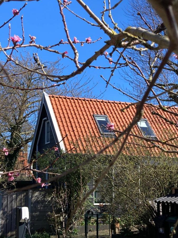 Het Zwaluwnest Apartment